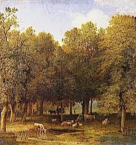 The Wood at The Hague