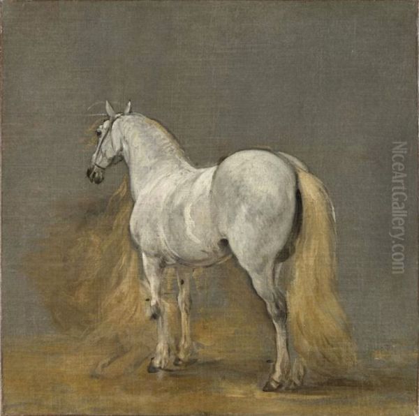 Study of a white horse - view 1