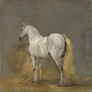 Study of a white horse Study of a white horse