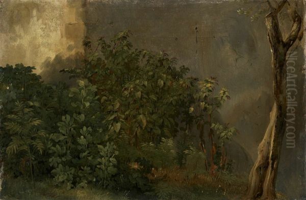 Etude de plantes - view 1