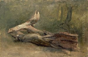 Etude d'arbre couche by Achille Etna Michallon
