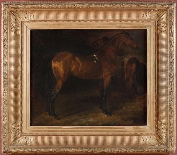 Spanish horse in a stable - view 1