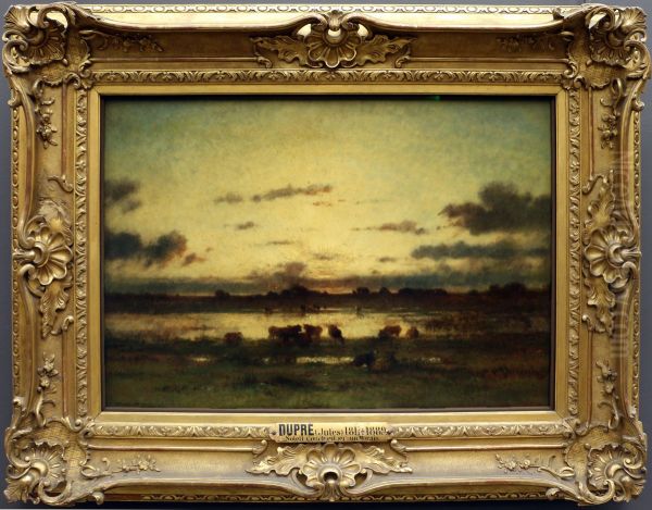 Soleil couchant sur un marais - view 1
