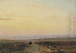 Vlak landschap