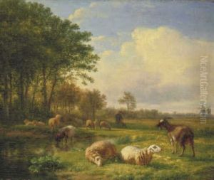 Vlak landschap met bomen