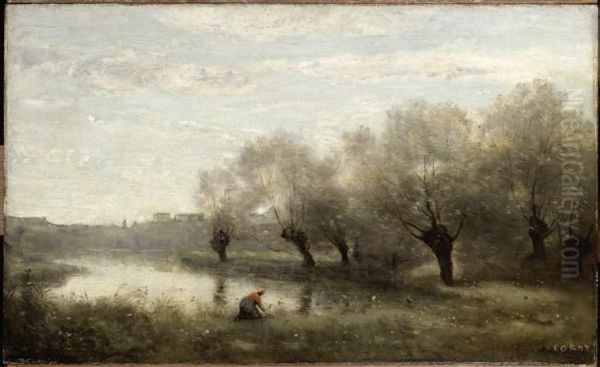 Saulaie a la pointe d'un marais. - view 1
