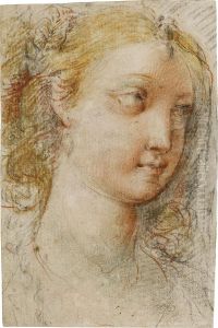 Head Of A Young Woman, Looking To The Left by Giuseppe Cesari