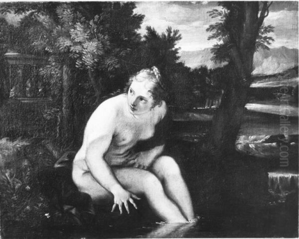Bathing wood nymph - view 1