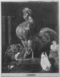 Hahn, Henne und Tauben by Jacomo Victors