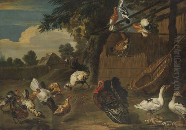Chicken yard - view 1