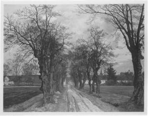 Schleissheimer Linden Schleissheimer Linden