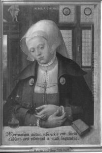 Sibylla Chimica by Hermann Tom Ring