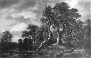 Waldlandschaft mit sumpfigem Gewasser Waldlandschaft mit sumpfigem Gewasser