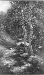 Birken in der Sonne (Waldweg) by Alexander Koester