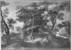 Waldlandschaft Waldlandschaft