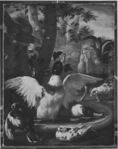 Enten und Huhner