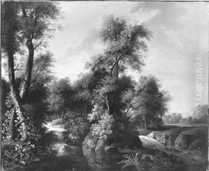 Waldlandschaft Waldlandschaft