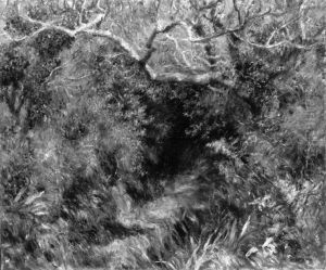 Sudfranzosische Landschaft by Pierre Auguste Renoir