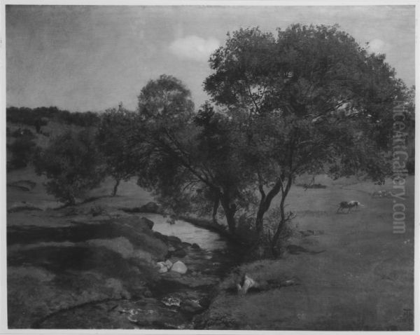 Wiesenlandschaft - view 1