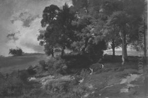 Baumlandschaft Baumlandschaft