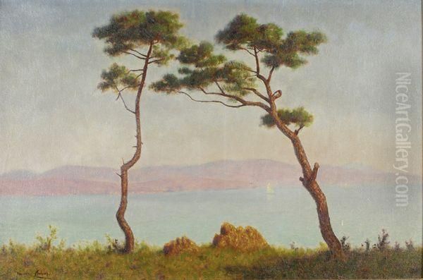 Paysage Mediterraneen - view 1