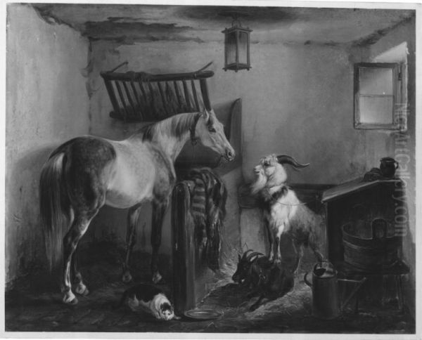 Landlicher Stall - view 1