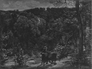 Waldlandschaft
