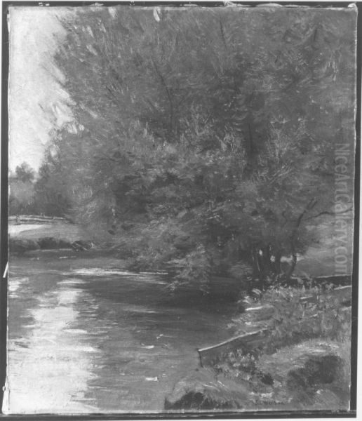 Weiden am Bach - view 1