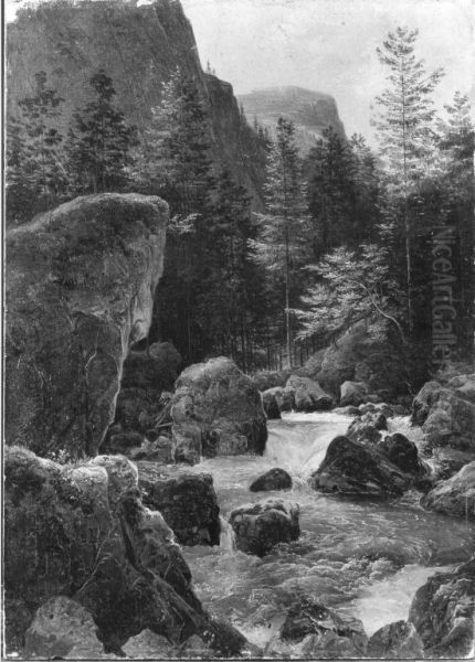 Waldbach Strubb bei Hallstatt - view 1