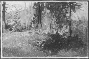 Waldinneres Waldinneres