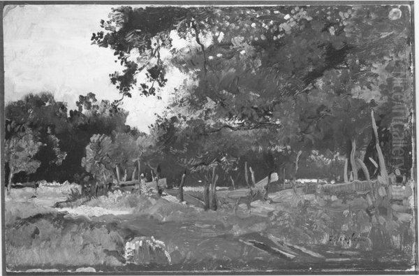 Waldlandschaft bei Pang - view 1