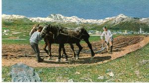 Ploughing by Giovanni Segantini