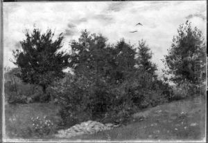 Landschaft (Hugelige Landschaft) by Albert Lang