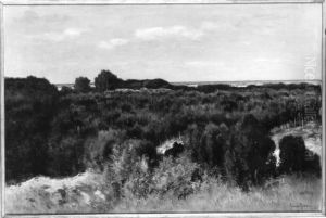 Panorama in Holland by Johannes Cornelis van Essen