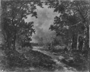 Schneise im Wald von Fontainebleau