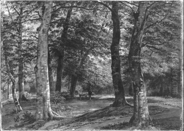 Waldweg mit Jager - view 1