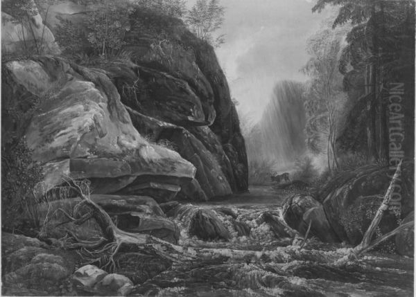 Wildbach im Plauenschen Grund (Norwegische Flusslandschaft) - view 1