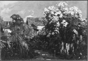Garten in Diessen, mit Sonne Garten in Diessen, mit Sonne