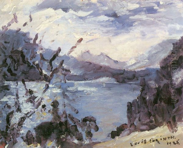 Walchensee mit Bergkette und Uferhang - view 1