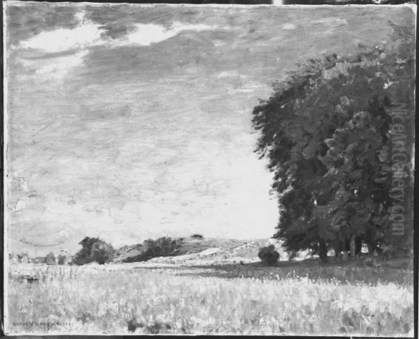 Die Wiese - view 1