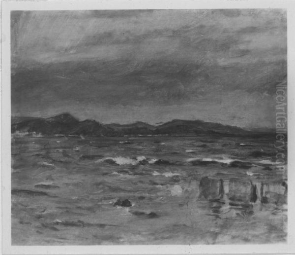 Kuste bei St. Tropez - view 1