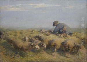 Die Schafherde