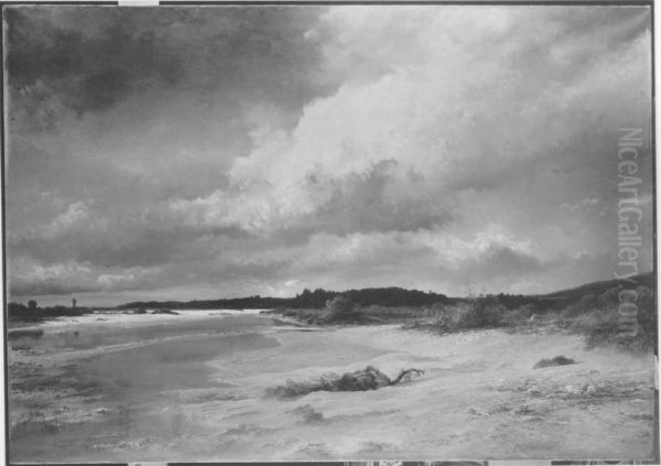 Isarlandschaft - view 1