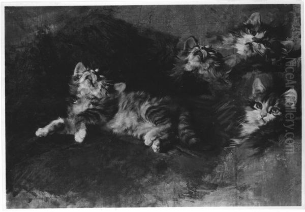Katze mit Detailstudien - view 1