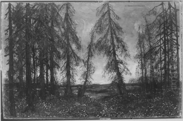 Waldlandschaft - view 1