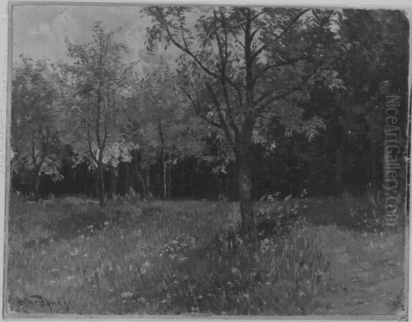 Waldwiese - view 1