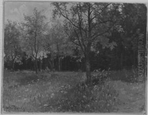 Waldwiese