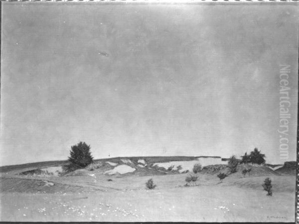Pollinger Landschaft - view 1