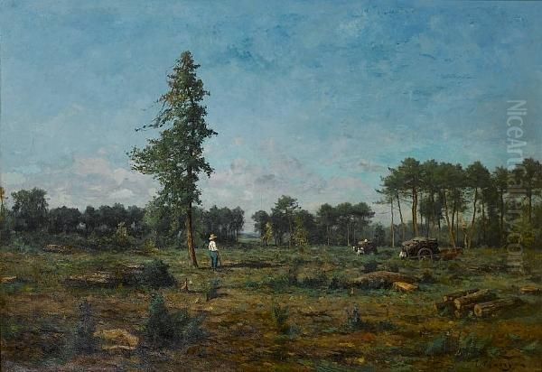 Clearing The Forest - view 1