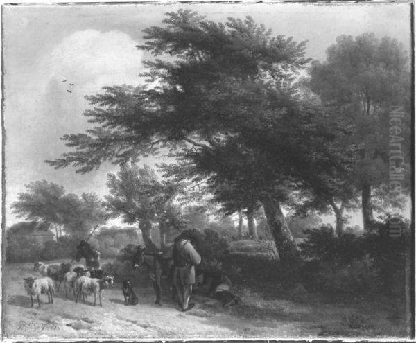 Waldlandschaft - view 1